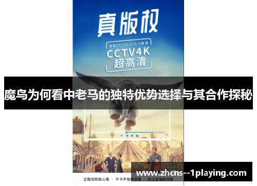 魔鸟为何看中老马的独特优势选择与其合作探秘